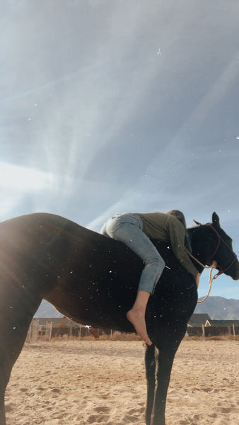 A Review of my 2019 Rodeo + Horse Goals